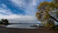 Drone shot of a wooden dock on the lake surface with a tree on its coast in New Zealand Royalty Free Stock Photo