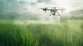 drone spraying pesticides flying over green rice fields.
