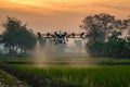 A drone spraying techniques on rice fields in the morning light Royalty Free Stock Photo