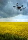 A drone sprays a field of rape against pests in a cloudy sky, Application of Zzr by Drones - Spot application, processing Royalty Free Stock Photo