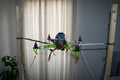 A drone test set designed for testing the electronics of medium size drones.