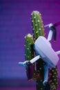 drone uprising a quadrocopter crawls on a cactus in neon light creative picture