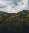 Drone vertical panorama of beautiful autumn trees and moody cloudy sky. Royalty Free Stock Photo