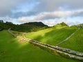 Drone view of amazing Azores landscape. Tea farm in the green fields on the north coast of San Miguel island, Azores, Portugal. Bi Royalty Free Stock Photo