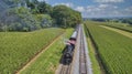 Drone View of an Antique Steam Engine, Approaching, Blowing Steam and Traveling Along the Countryside Royalty Free Stock Photo