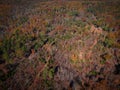Drone view of autmnal foliage and woods and hillside Royalty Free Stock Photo