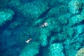 Drone view of a couple snorkeling in the sea Royalty Free Stock Photo