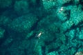 Drone view of a couple snorkeling in sea water Royalty Free Stock Photo