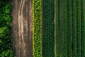 Drone view of crop rotation layout, emphasizing sustainable farming techniques... Royalty Free Stock Photo