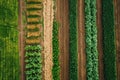 Drone view of crop rotation layout, emphasizing sustainable farming techniques... Royalty Free Stock Photo