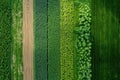Drone view of crop rotation layout, emphasizing sustainable farming techniques... Royalty Free Stock Photo