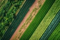 Drone view of crop rotation layout, emphasizing sustainable farming techniques... Royalty Free Stock Photo