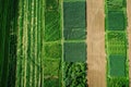 Drone view of crop rotation layout, emphasizing sustainable farming techniques... Royalty Free Stock Photo