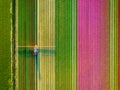 Drone view of a field of tulips. A drone view of a combine harvester in a field.