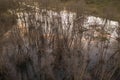 Drone view of flooded forest and reflection of the sky Royalty Free Stock Photo