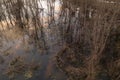 Drone view of flooded forest and reflection of the sky Royalty Free Stock Photo