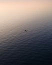 Drone view of golden sky above calm sea at sunset with the silhouette of person rowing a boat