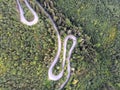 Drone view of a green forest road Royalty Free Stock Photo