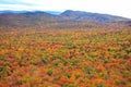 Drone view of hills covered in colorful trees under the sunlight in autumn Royalty Free Stock Photo