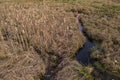 Drone view meadow slowly turning to swamp