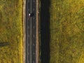 Drone view of moving red car on country side road Royalty Free Stock Photo