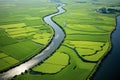 Aerial drone view of green landscape with canals