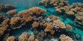 Drone view of a pristine coral reef teeming with marine life. Royalty Free Stock Photo