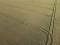 Drone view of a ripe yellow crop field in summer