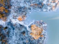 Drone view of a river with an icy lake on a snowy forest plain during a clear winter morning and bright sunrise Royalty Free Stock Photo