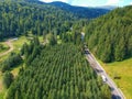 Drone view of a road and forest in Vrancea County, Romania Royalty Free Stock Photo