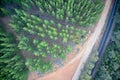 Drone view of road intersecting forest Balingup, Western Australia