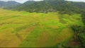 Drone view at the spider web rice field in Cancar Ruteng in Indonesia