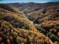 Drone view of stunning colorful autumn fall forest at sunset Royalty Free Stock Photo