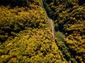 Drone view of stunning colorful autumn fall forest at sunset Royalty Free Stock Photo