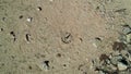 Drone view of a sundial made of stones.