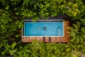 drone view of a swimming pool in the jungle , couple men and women in a pool in the rainforest