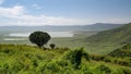 Drone view of Tanzania - Ngorongoro Conservation Area Royalty Free Stock Photo