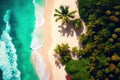 Drone view of tropical sand beach with palm trees and sea waves landscape. Tropic island from above wallpaper background. Summer Royalty Free Stock Photo