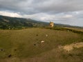 Drone view of typical azores landscape coastal with cows in a rural aerial view. Bird eye view, aerial panoramic point of view. Po