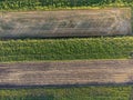 Drone view of wheet field at sunset