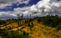 Drone View of Wildflowers in Crafton Hills afer the rain Royalty Free Stock Photo