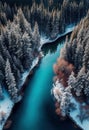 Drone view of winter landscape with pine forest covered with snow and mountain lake. Snowy fir tree in beauty nature scenery from Royalty Free Stock Photo
