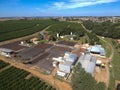 Drone view of the yard for drying freshly harvested coffee beans