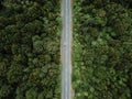 drone view zenithal shot of the straight road with a car going through the dense lush forest next to the green trees