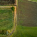 Droneception image of a man watching a tree in inception view style.