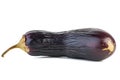Drooped eggplant Royalty Free Stock Photo