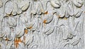 Drooping Crocuses carved in Headstone