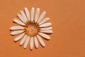 A drop of cosmetic gel on a terracotta background with chamomile petals..