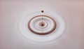 drop created splash with circle ripple Royalty Free Stock Photo