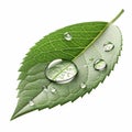 A drop of dew on a leaf icon, realistic shine and soft light Royalty Free Stock Photo